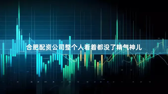 合肥配资公司整个人看着都没了精气神儿