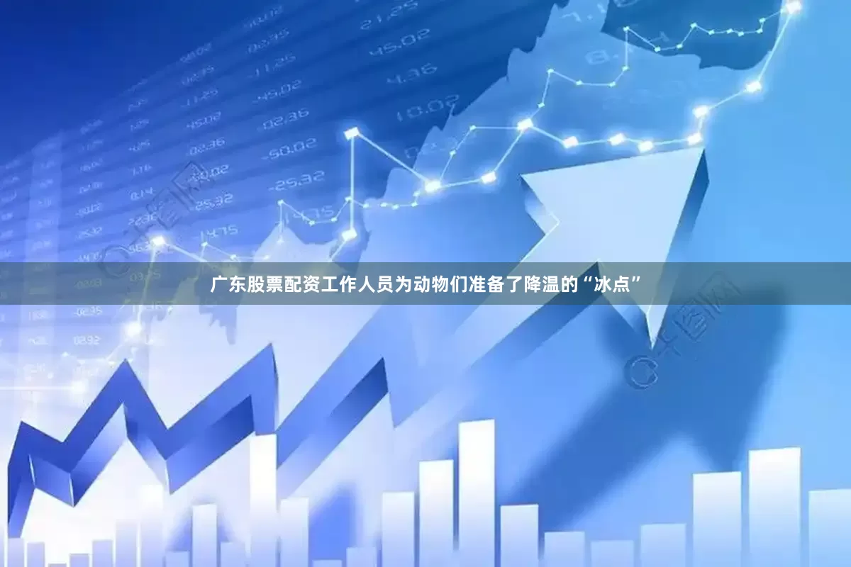 广东股票配资工作人员为动物们准备了降温的“冰点”
