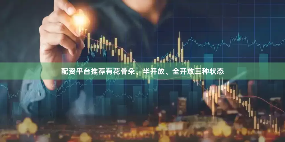 配资平台推荐有花骨朵、半开放、全开放三种状态