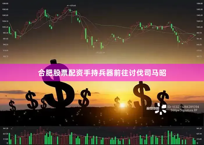 合肥股票配资手持兵器前往讨伐司马昭